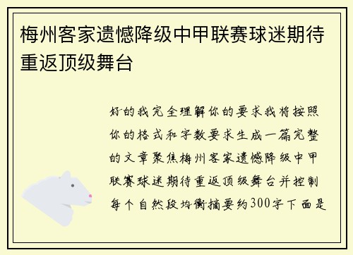梅州客家遗憾降级中甲联赛球迷期待重返顶级舞台 梅州客家遗憾降级中甲联赛球迷期待重返顶级舞台